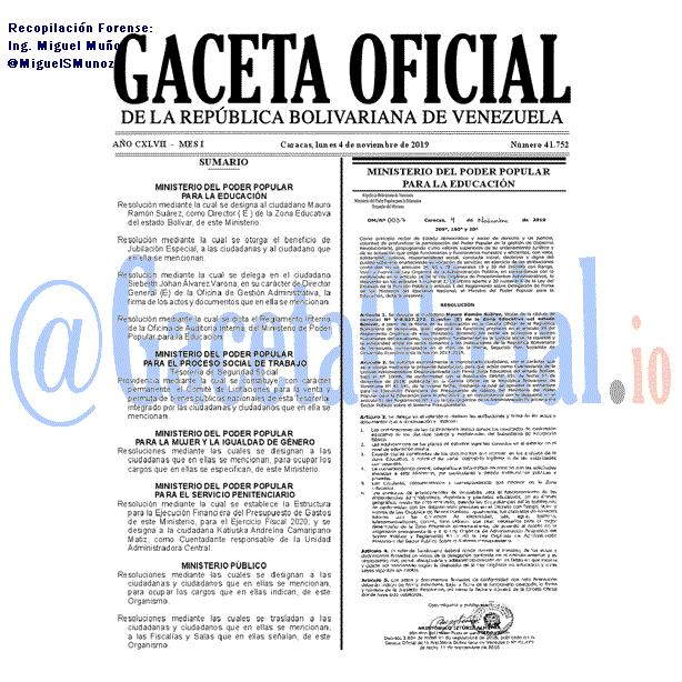 Gaceta Oficial 41752 del 4 noviembre 2019