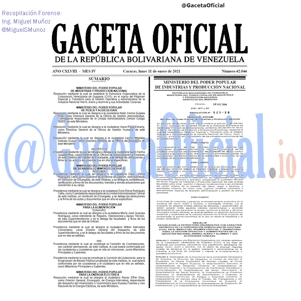 Gaceta Oficial 42044 del 11 Enero 2021