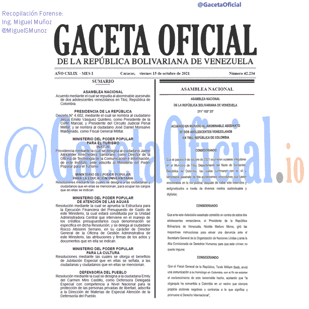 Gaceta Oficial 42234 del 15 octubre 2021