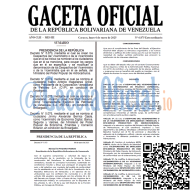 Gaceta Oficial 6875 2025-01-06